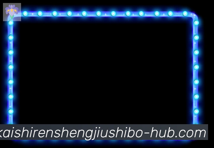奖项证书